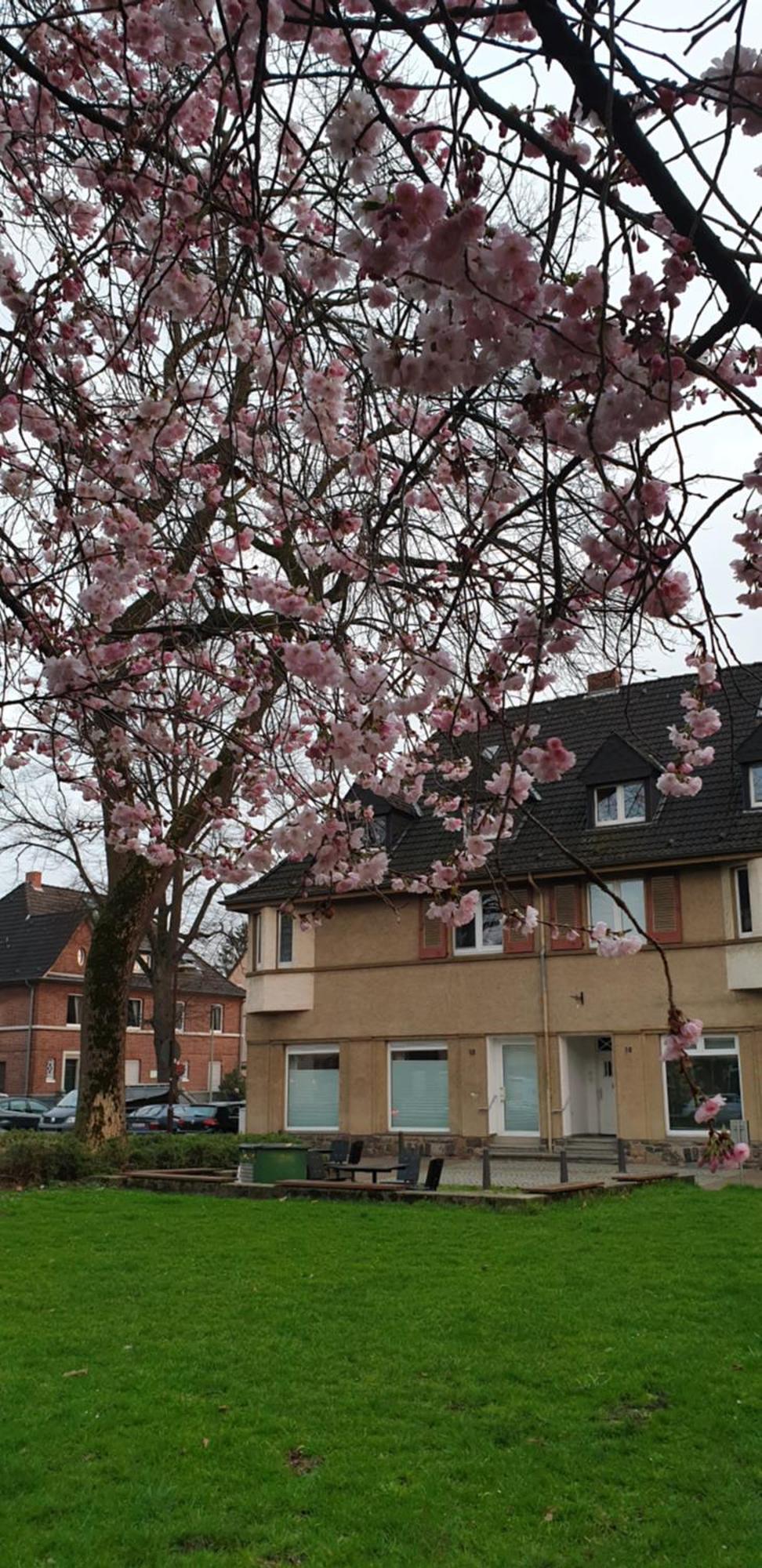 Apartment Wedau Duisburg Eksteriør bilde